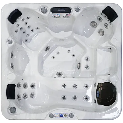 Avalon EC-849L hot tubs for sale in Union City