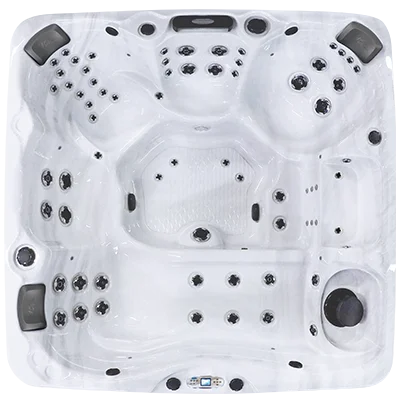 Avalon EC-867L hot tubs for sale in Union City