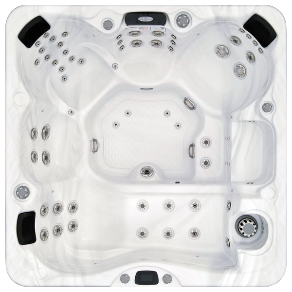 Avalon-X EC-867LX hot tubs for sale in Union City
